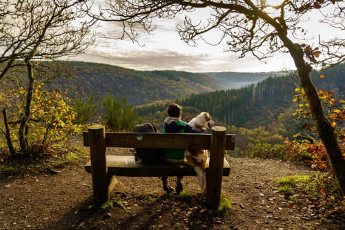 Person and dog enjoying a scenic mountain valley view from a wooden bench at Aux 4 Chalets Corbion in Bouillon, Belgium