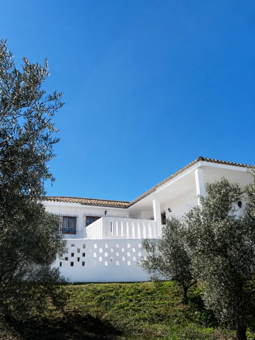 Casa Rural Finca El Olivar, casa blanca rústica con olivares y cielo azul despejado en Las Cuevas