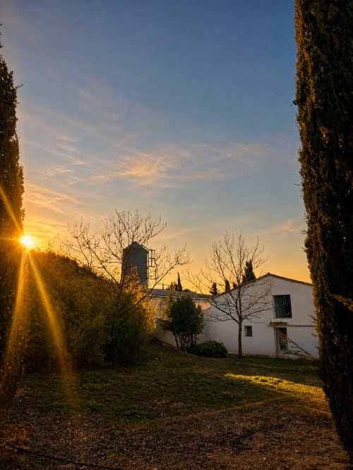 Atardecer en Casa Rural Finca El Olivar, Las Cuevas - edificio encalado con cipreses a la hora dorada