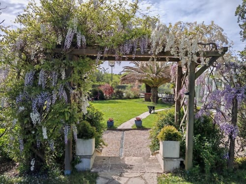Entrée de pergola drapée de glycine au Domaine De Millox, un gîte français à Saint-André-de-Seignanx