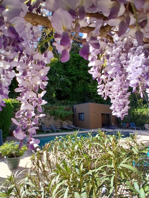 Purple wisteria blooms frame a serene poolside garden at Clos De La Gourmanderie, Saint-Lothain