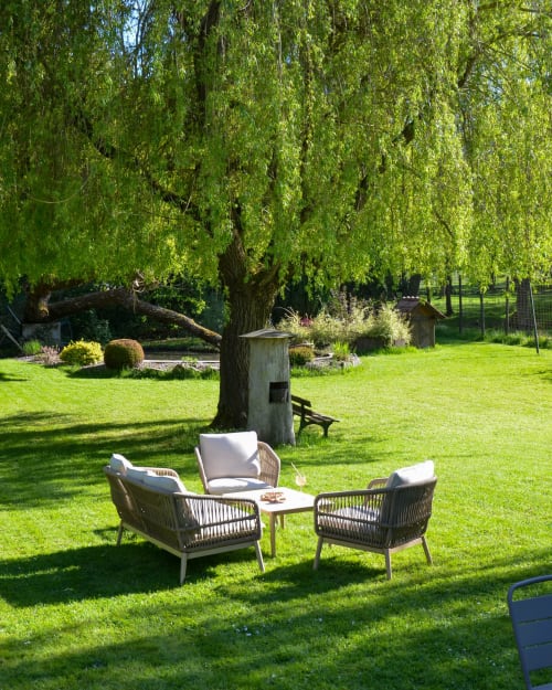 Coin détente ombragé de l'Hôtel Des Vosges avec fauteuils en rotin et saule pleureur à Sommerau