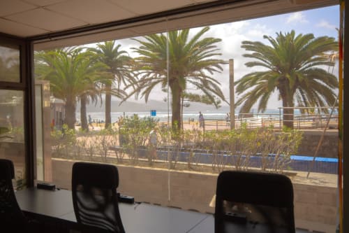 Spazio di lavoro presso Hostel Tropical Work a Las Palmas con vista sul mare, palme e area condivisa che si affaccia sulla spiaggia sabbiosa