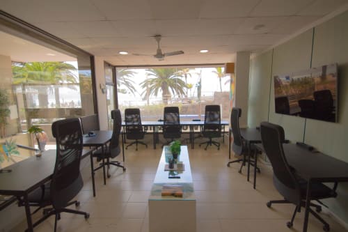 Spazio di coworking moderno presso Hostel Tropical Work a Las Palmas con sedie ergonomiche nere, scrivanie, vista sull'oceano e palme
