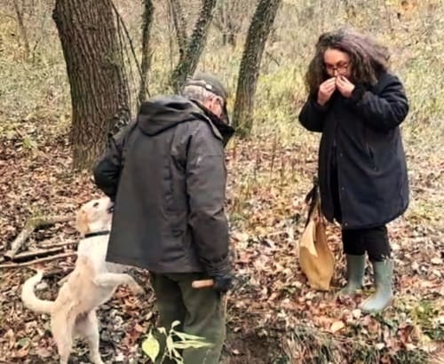 Deux personnes avec un chien se promenant dans les bois du Palazzo Losio à Ponzone