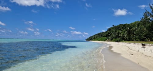 Spiaggia di sabbia bianca incontaminata con acque turchesi e foresta tropicale a La Villa Boraha, Vohilava Madagascar