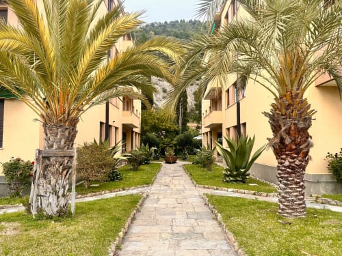 Viale alberato di palme a Welcome Varigotti, Finale Ligure, che conduce agli appartamenti Casa delle Palme con edifici gialli