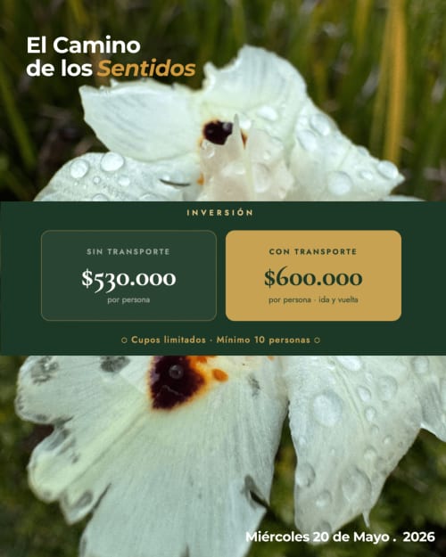 Flor blanca con gotas de rocío en el hotel La Dolce Vita Guatavita. Tarifas del tour El Camino de los Sentidos para mayo de 2026.