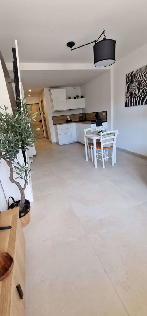 Studio moderne à Aix-les-Bains avec cuisine ouverte, salle à manger, mobilier blanc et œuvre zèbre
