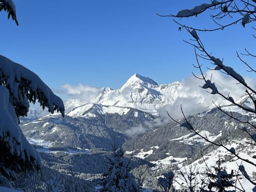 Snow-capped Alpine mountains above Notre Dame de Bellecombe valley with forested slopes and frost-covered branches