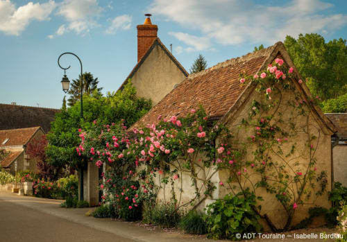 Roses roses grimpantes sur le gîte en pierre de Les Troglos de Beaulieu, charmant bed and breakfast à Beaulieu-les-Loches