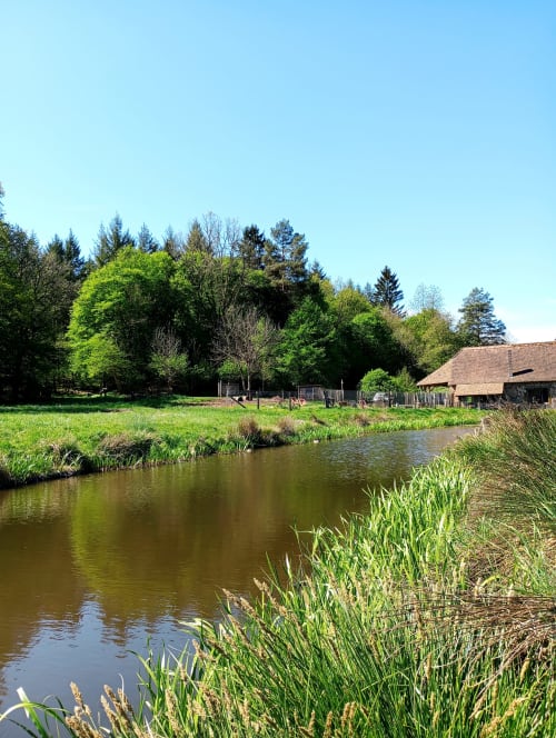 L'étang paisible de Paulusmühle, avec ses berges, ses arbres et une grange traditionnelle à Soucht