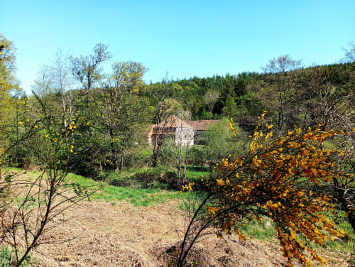 Paulusmühle B&B à Soucht avec jardins luxuriants, fleurs sauvages jaunes et vue sur la forêt