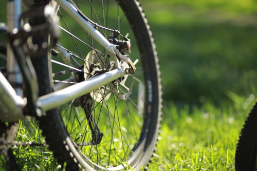 Détail de roue de bicyclette sur l'herbe à l'Hôtel Restaurant Le Verdon aux Salles sur Verdon