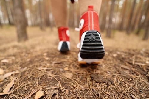 Chaussures jouets rouges et noires sur le sol forestier près de Les Salles sur Verdon