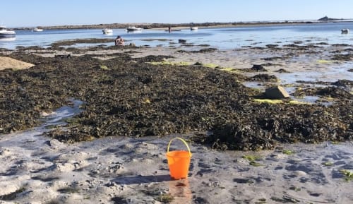 Orangener Eimer am Strand von Penmarch mit felsiger Küste und vertauten Booten bei Le Lama Zébré