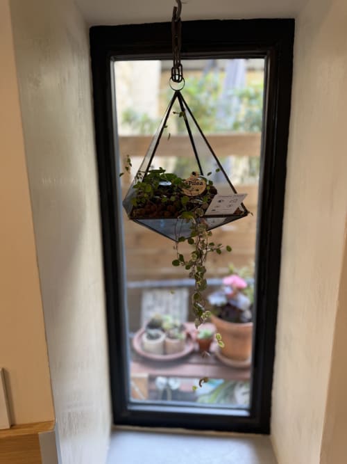 Detail des Ferienstudios „Occitan Heritage“: hängender Sukkulenten-Blumenkasten mit herabhängenden Pflanzen am Fenster der La Sarrasine in Aiguèze.