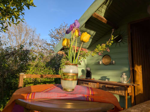 Vase d'iris colorés sur la table de la terrasse au gîte Terroir De Familles en France