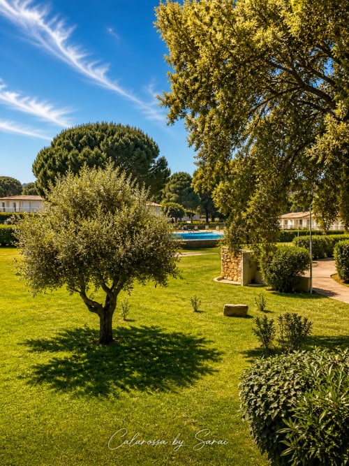 Üppige Gartenanlage des Calarossa By Sarai in Lecci mit Olivenbäumen, gepflegtem Rasen und blauem Pool