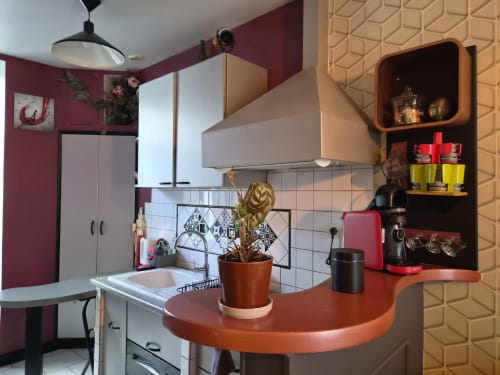 Cuisine studio moderne à Orval Et Sens Orvault avec murs bordeaux, comptoir orange courbe, plante et étagères murales organisées