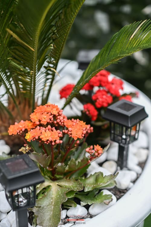 Vivaci fiori arancioni con fronde di palma verde e luci solari decorative nel giardino del balcone di Newhouse Bari