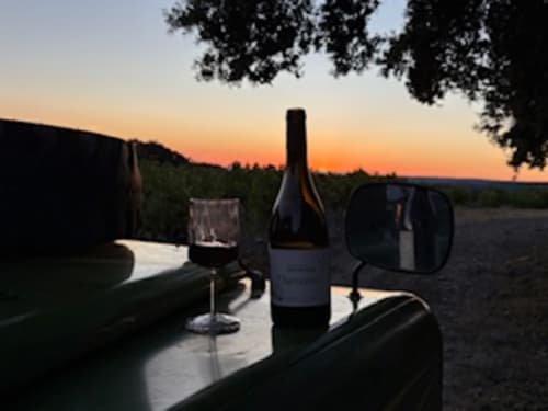 Bouteille de vin et verres au coucher de soleil surplombant le vignoble de Grillon au Lou Paradou Lodge