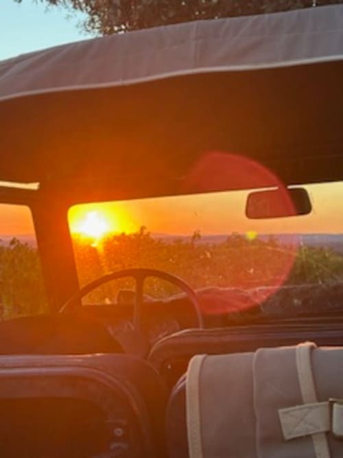 Vue du coucher de soleil depuis la voiture à la Lou Paradou Lodge à Grillon, France avec un ciel doré sur le paysage du jardin