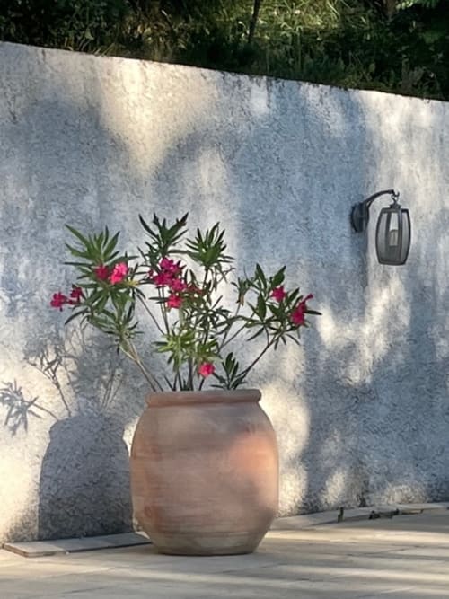 Jardin en terrasse du Lou Paradou Lodge avec fleurs roses en pot d'argile contre mur blanc, Grillon