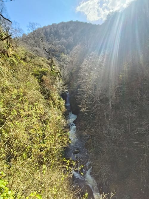 Scenic mountain gorge with river and lush vegetation near Posada La Colodra, Los Tojos