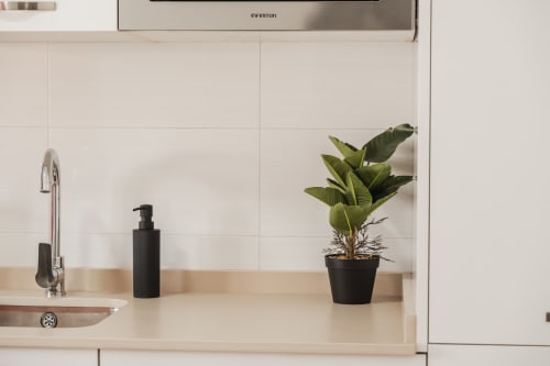 Modern kitchen countertop at Alojamientos Estrella Baeza with chrome faucet, black soap dispenser, and green plant in Baeza