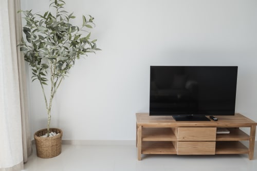Modern apartment living room at Alojamientos Estrella Baeza with wooden TV stand, flat-screen TV, and potted plant by window