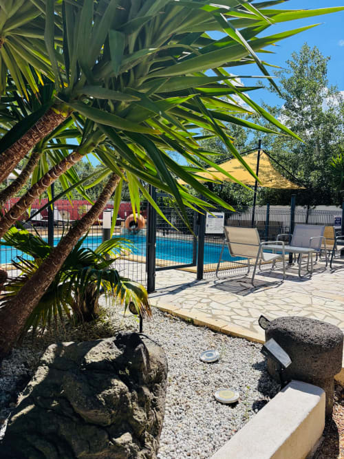 Terrasse piscine du B&B Entre 2 eaux à Marseillan-Plage avec palmiers, transats et piscine bleue au-delà de la clôture
