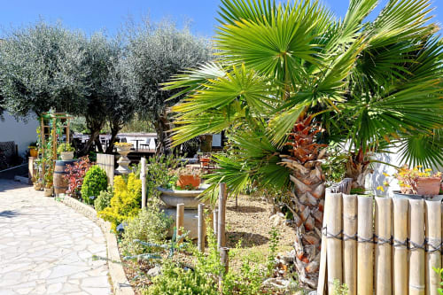 Tropische Gartenteasse des Entre 2 eaux B&B in Marseillan-Plage mit Palmen und Olivenbaum