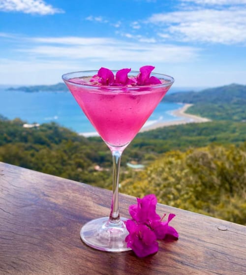 Cocktail rose vif aux fleurs magenta à Organica Yoga Shelter, Paquera, vue sur le littoral costaricain