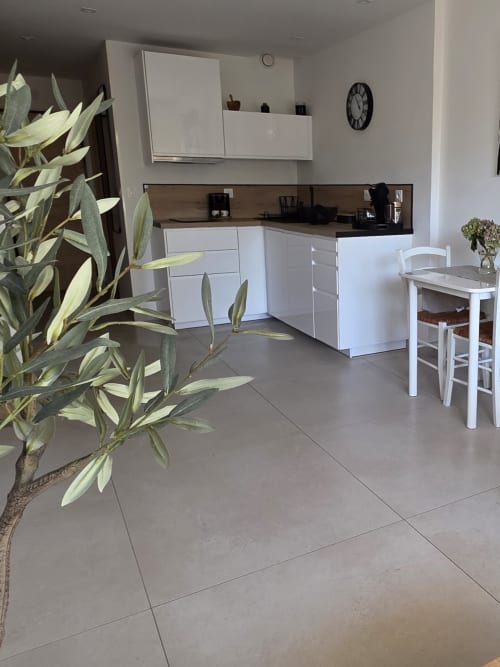 Cuisine moderne avec placards blancs et plan de travail marron à l'hôtel Zoppas Aix Les Bains, avec coin repas et plantes