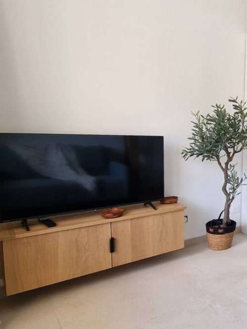 Salon moderne de l'hôtel Zoppas avec meuble média en bois, téléviseur écran plat et olivier en pot