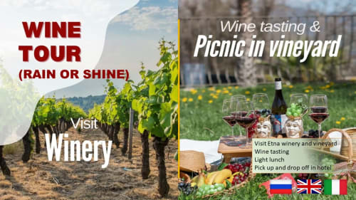Tour del vino e picnic in vigna nei dintorni di Taormina in Sicilia con degustazione presso una cantina dell'Etna