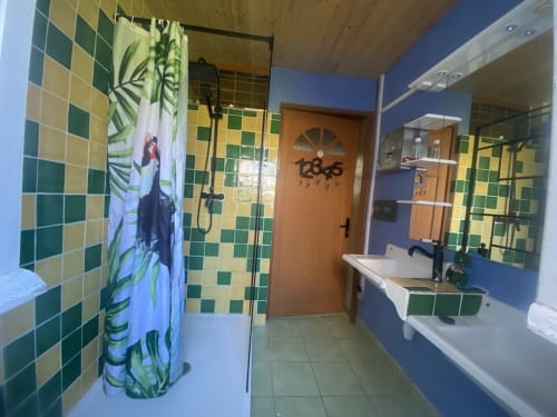 Bathroom with green and yellow checkered tiles, dual sinks, shower, and jungle-themed décor at Le Lama Zébré in Penmarch