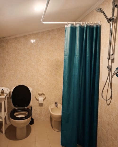 Modern bathroom in B&B Rio Grande hostel, Massarosa Italy with toilet, shower, and teal curtain