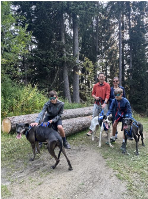 Group hiking with dogs on forest trail at Chez Francine, Notre Dame de Bellecombe