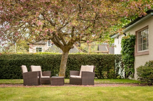 Rattan garden furniture under blooming cherry tree at Sleeping Betty cottage in Comrie with hedged garden view