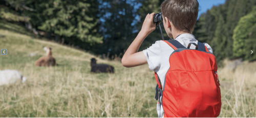 Jeune randonneur avec sac à dos rouge observant la faune dans une prairie alpine près de Chez Francine
