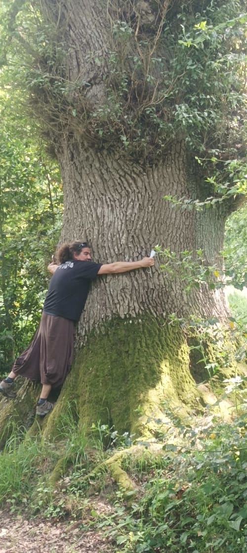 Persona abrazando un árbol ancestral en el hotel rural Aldea Rural Santo André en Ourense, España