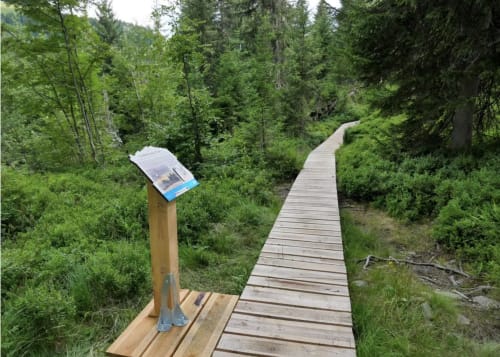 Wooden boardwalk through forest at Chez Francine, Flumet with interpretive sign