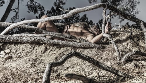 Homme torse nu se détendant sur une branche noueuse près de Bédoin, France à La Maison Gerval