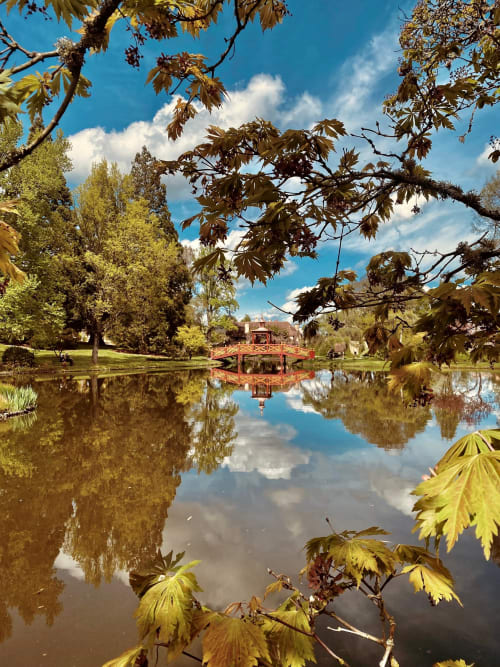 Bassin serein avec pont rouge à l'hôtel Le Bel Air à Decize, France, entouré d'une verdure luxuriante