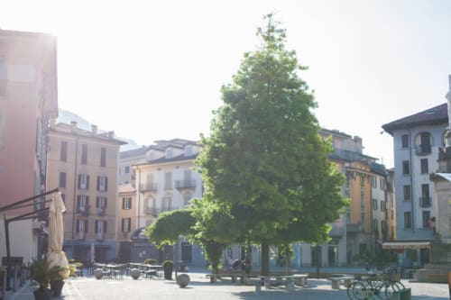 Alessia's Place Como BnB overlooks historic plaza with tall tree and European architecture