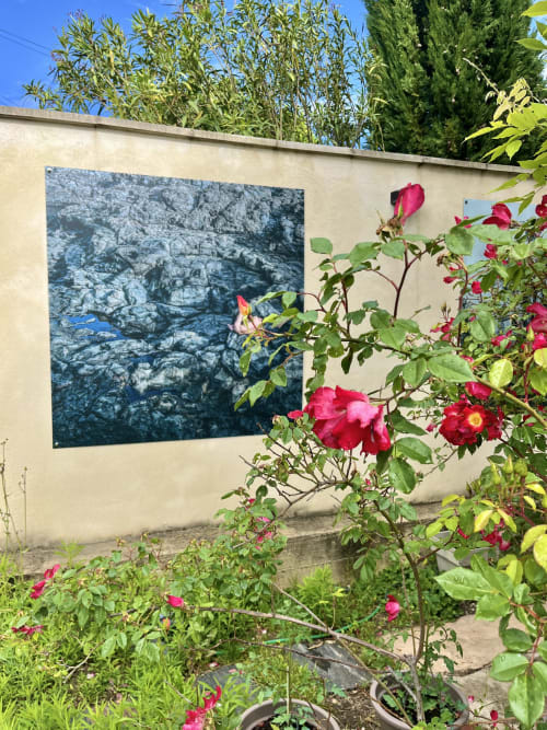 Des roses rouges épanouies dans le jardin de La Maison Gerval avec paysage rocheux, Bédoin