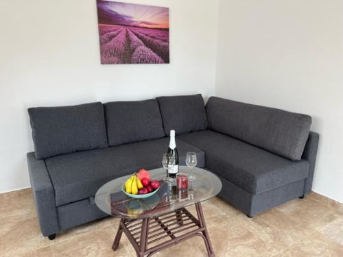 Modern gray corner sofa with wine and fruit on glass coffee table, lavender field painting above, Villa Estrella Polar