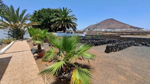 Palm trees and volcanic landscape at Villa Estrella Polar in Tahiche, Lanzarote with mountain view